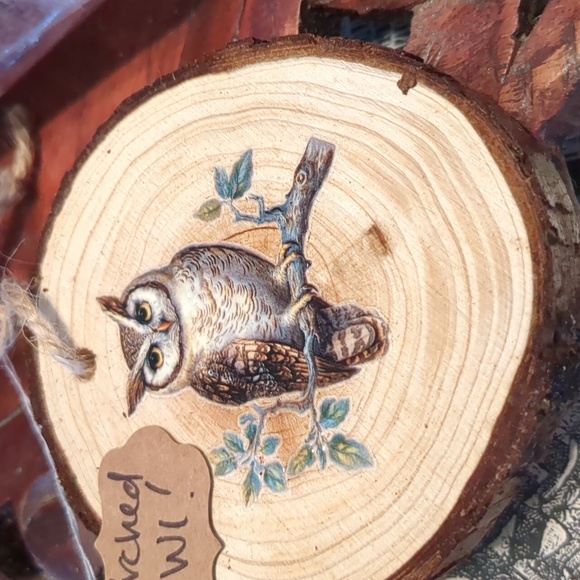 Other - 🦉Fall Wooden Ornament w/an Owl